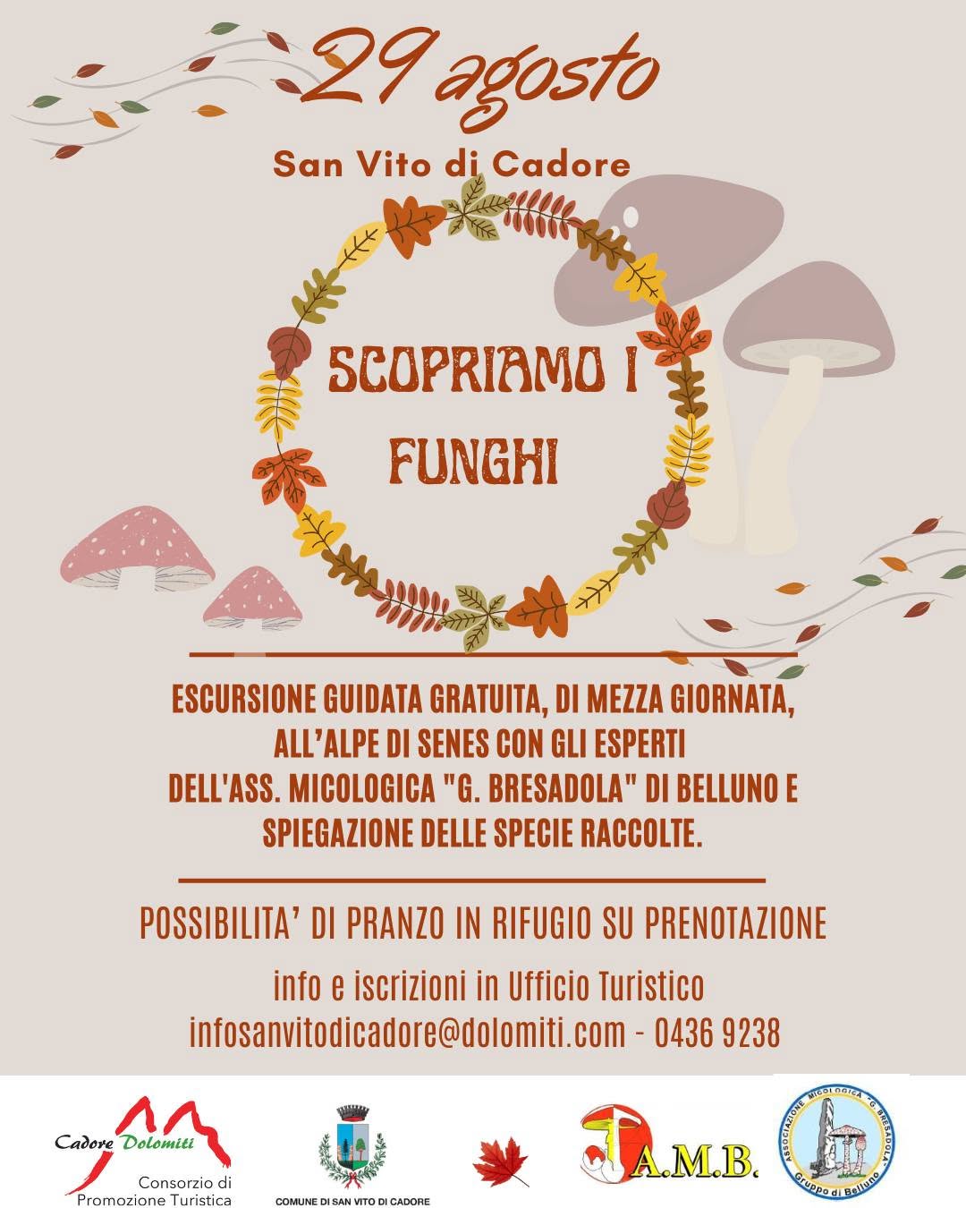Affiche de Scopriamo i funghi