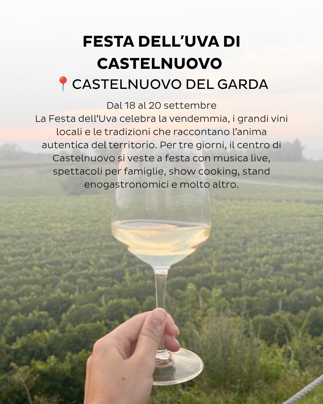 Plakat von 60ª Festa dell'Uva 2026