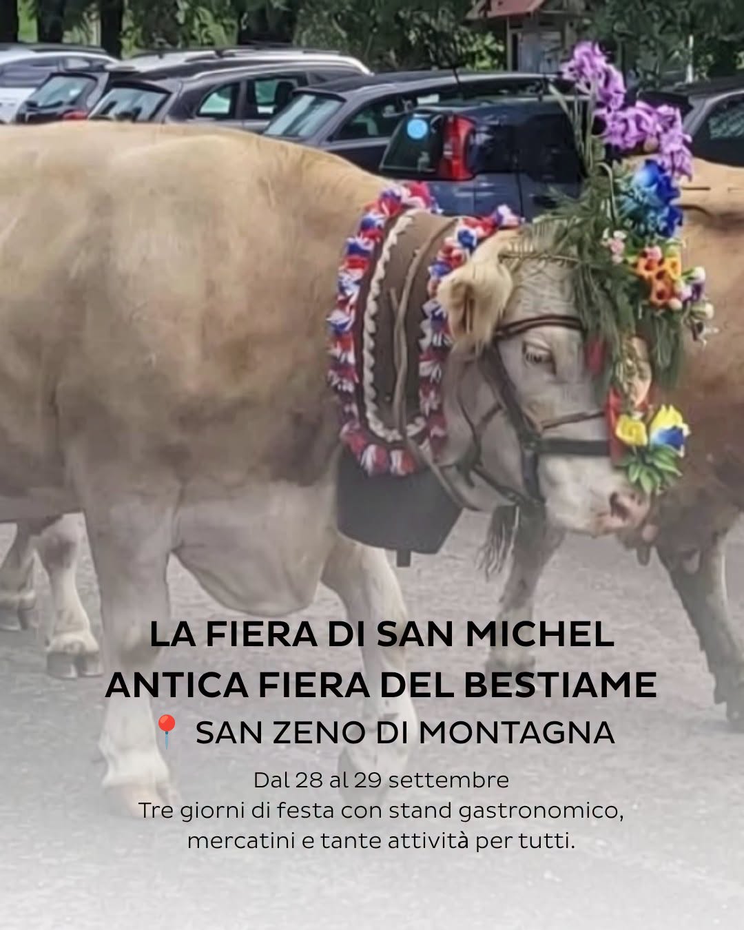Plakat von Antica Fiera di San Michel