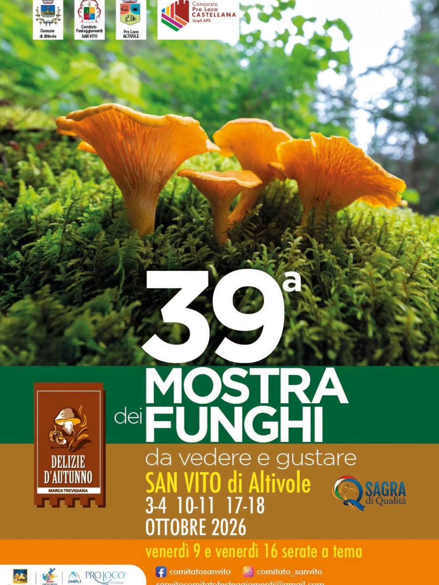 Plakat von 39ª Mostra dei Funghi da vedere e gustare