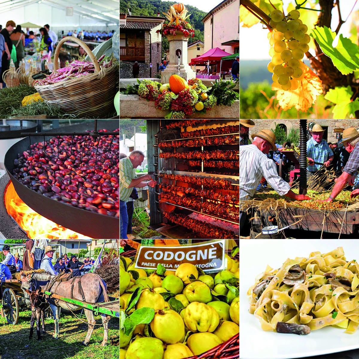 Locandina di Codognè tra natura ed agricoltura – XXVI Festa della Mela Cotogna e 9ª Fiera delle Piccole Produzioni Locali