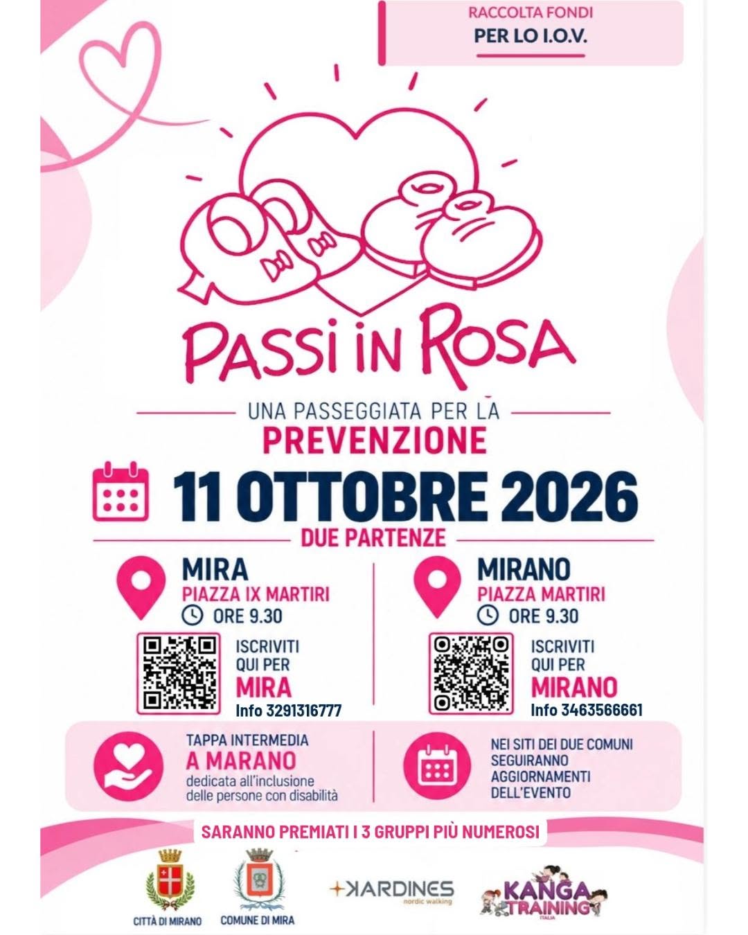 Locandina di PASSI IN ROSA
