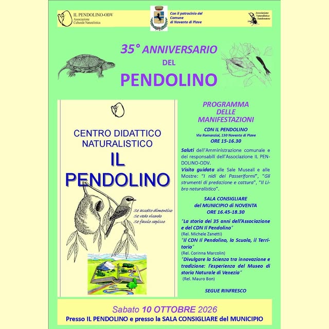 Locandina di 35° Anniversario del Pendolino