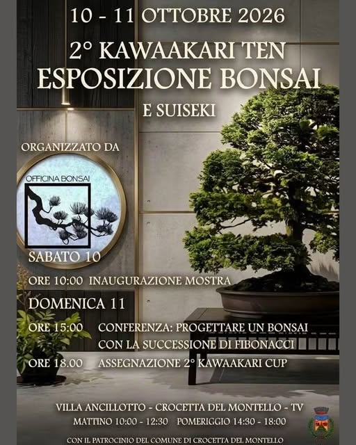 Plakat von 2° Kawaakari Ten - Esposizione Bonsai e Suiseki